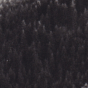 Urheber Mittelbild