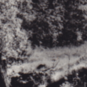 Urheber Mittelbild
