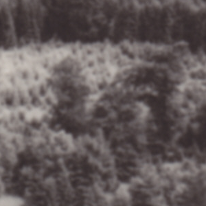 Urheber Mittelbild