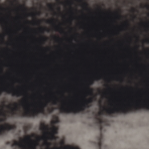 Urheber Mittelbild