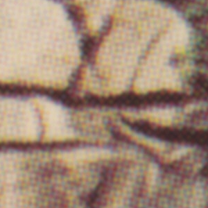 Urheber Mittelbild
