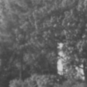 Urheber Mittelbild