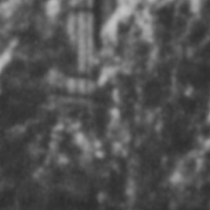 Urheber Mittelbild