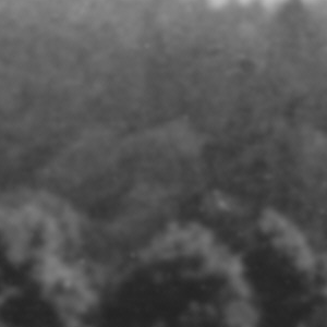 Urheber Mittelbild