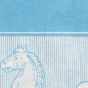 Ausschnitt zur Qualitätsprüfung vom Digitalen Bild Qualität