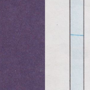 Ausschnitt zur Qualitätsprüfung vom Digitalen Bild Qualität