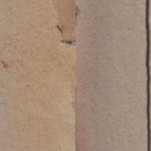 Ausschnitt zur Qualitätsprüfung vom Digitalen Bild Qualität