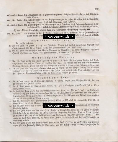 Großherzoglich Hessisches Regierungsblatt 1848 Sammlung