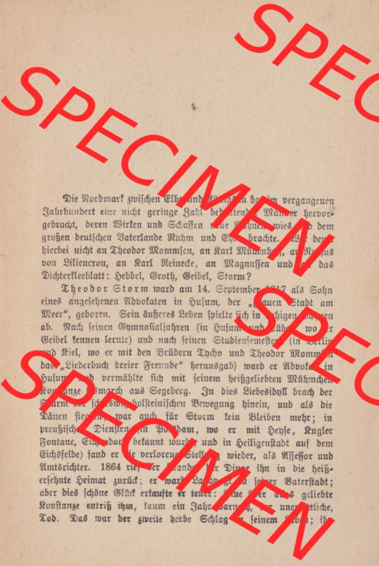 Weimarer Republik Wiesbadener Volksbücher 1920, Heft / Buch Nr. 17, Jenseit des Meeres (2) Sammlung