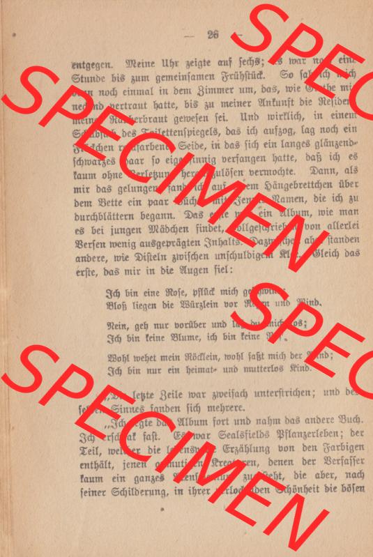 Weimarer Republik Wiesbadener Volksbücher 1920, Heft / Buch Nr. 17, Jenseit des Meeres (25) Sammlung