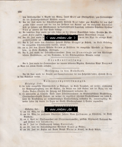 Großherzoglich Hessisches Regierungsblatt 1848 Sammlung