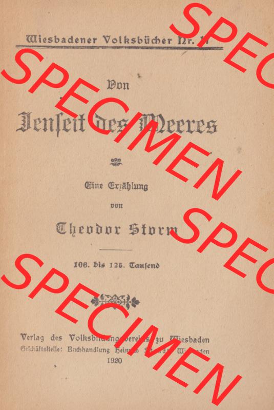Weimarer Republik Wiesbadener Volksbücher 1920, Heft / Buch Nr. 17, Jenseit des Meeres (1) Sammlung