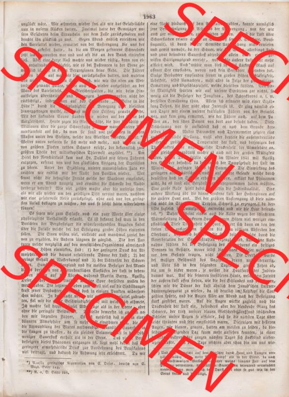 Deutscher Bund und „Heilige Allianz“, Allgemeine Zeitung 1845, Zeitschrift Nr. 246 vom Mittwoch den 3. September 1845, Beilage zur Allgemeinen... Sammlung