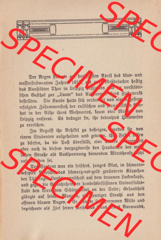 Weimarer Republik Wiesbadener Volksbücher 1919, Heft 14, Erzählung von Louise von François Fräulein Muthchen und der Hausmeister (6) Sammlung