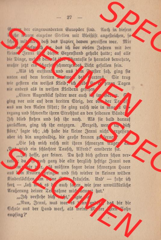 Weimarer Republik Wiesbadener Volksbücher 1920, Heft / Buch Nr. 17, Jenseit des Meeres (26) Sammlung