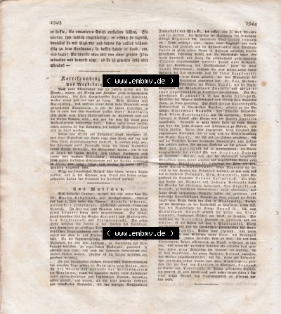 Zeitung für die elegante Welt Sammlung