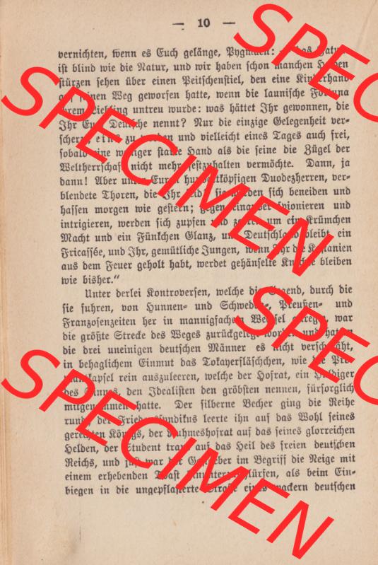 Weimarer Republik Wiesbadener Volksbücher 1919, Heft 14, Erzählung von Louise von François Fräulein Muthchen und der Hausmeister (10) Sammlung
