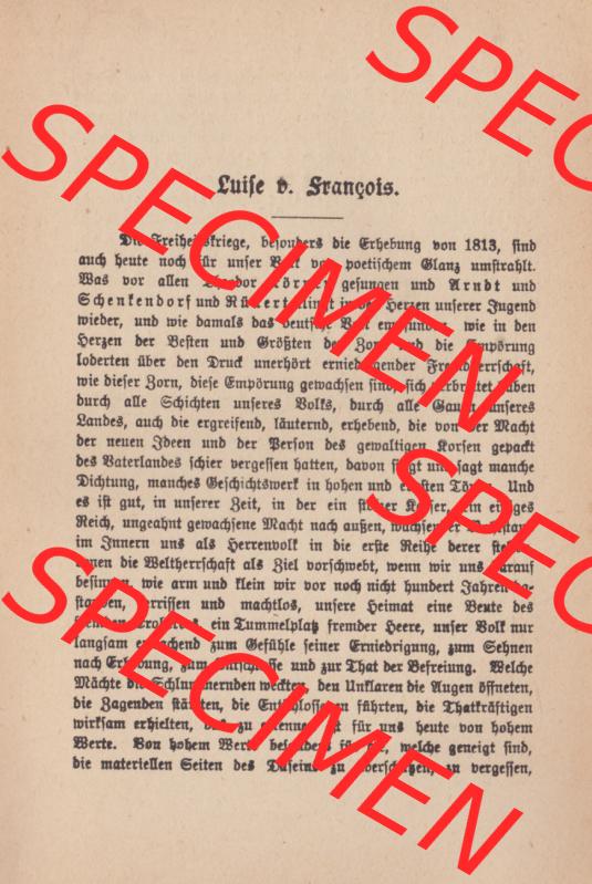 Weimarer Republik Wiesbadener Volksbücher 1919, Heft 14, Erzählung von Louise von François Fräulein Muthchen und der Hausmeister (3) Sammlung
