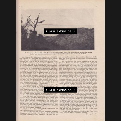 Weimarer Republik Zeitschrift Welt und Haus 1932, 32. Jahrgang, 12. November 1932, Heft Nr. 7. Seite 3 Der Baumwuchs blieb zurück, nackte Bergkappen... Sammlung