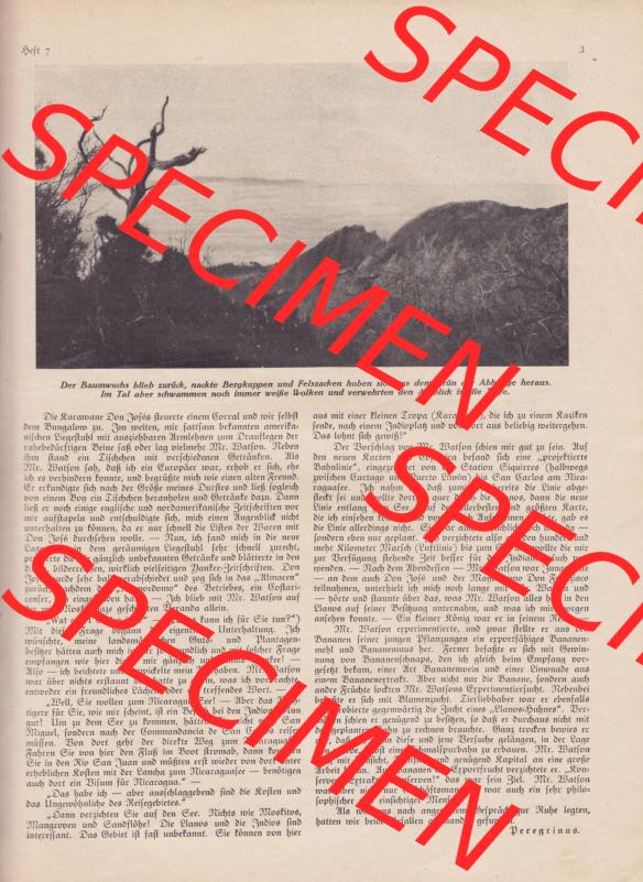 Weimarer Republik Zeitschrift Welt und Haus 1932, 32. Jahrgang, 12. November 1932, Heft Nr. 7. Seite 3 Der Baumwuchs blieb zurück, nackte Bergkappen... Sammlung