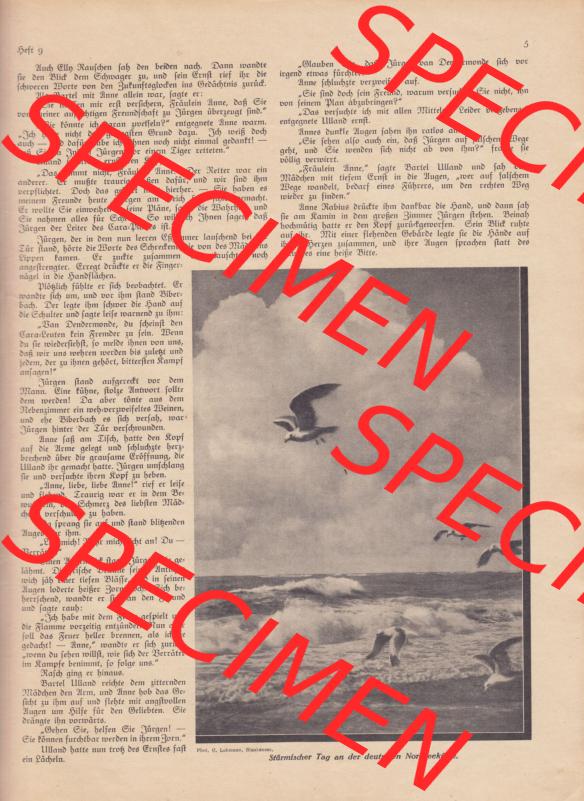 Zeitschrift Welt und Haus 1932 Heft 9 von 26. November 1932, Seite 5, Wider Meer und Menschen, Roman von Luise Küchler - Fortsetzung I. Sammlung