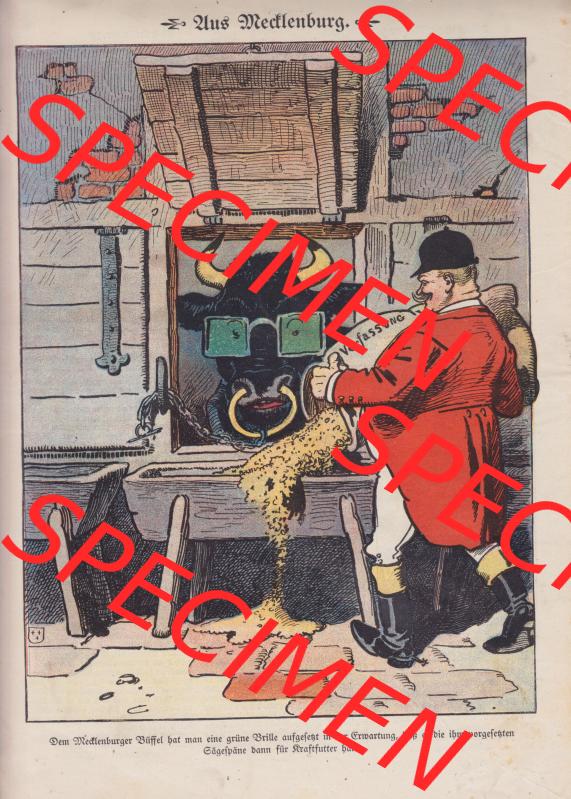 Der wahre Jacob Satire 1908, Heft 572, Seite 5852, Aus Mecklenburg. Hier befindet sich eine von 16 Seiten der Satire-Zeitschrift Der Wahre Jacob 1908 Nr. 572 im online Katalog... Sammlung