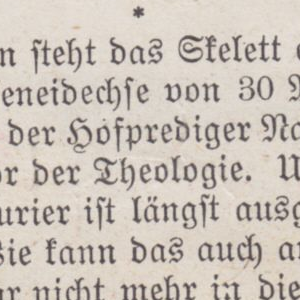 Ausschnitt zur Qualitätsprüfung vom Digitalen Bild Qualität
