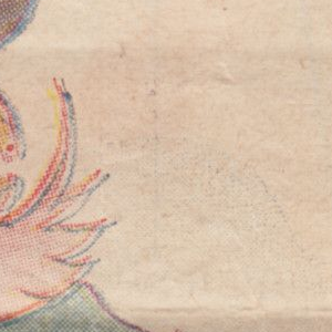 Ausschnitt zur Qualitätsprüfung vom Digitalen Bild Qualität