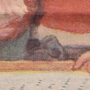Ausschnitt zur Qualitätsprüfung vom Digitalen Bild Qualität