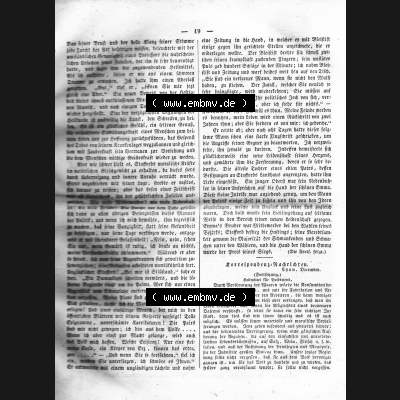 Morgenblatt 1832, 6 Januar, Nr. 5, Seite 19, Artikel „Der Politiker“. Das Digitale Bild / Foto der relativ wertvollen „Morgenblatt... Sammlung