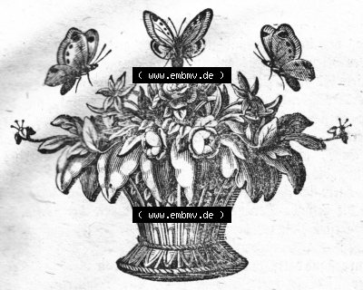 Morgenblatt 1832, Freitag 20 Januar, Nr. 8, Seite 29, Literatur-Blatt Titel-Grafik mit Blumen und Schmetterlinge. Sammlung