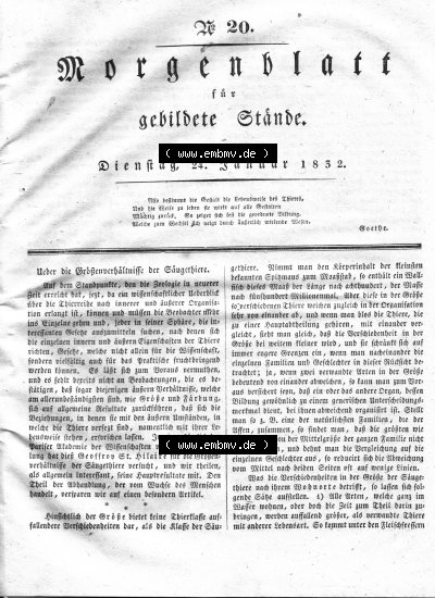 Morgenblatt 1832, Dienstag, 24 Januar, Nr. 20, Seite 77, Über die Größenverhältnisse der Säugetiere. Sammlung