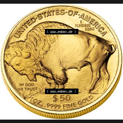 Amerika USA Goldmünze 2007, 50 Dollar 1 Unze Buffalo (2) Sammlung