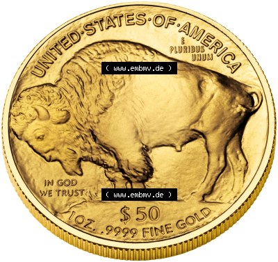 Amerika USA Goldmünze 2007, 50 Dollar 1 Unze Buffalo (2) Sammlung