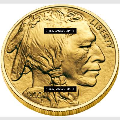 Amerika USA Goldmünze 2007, 50 Dollar 1 Unze Buffalo (1) Sammlung