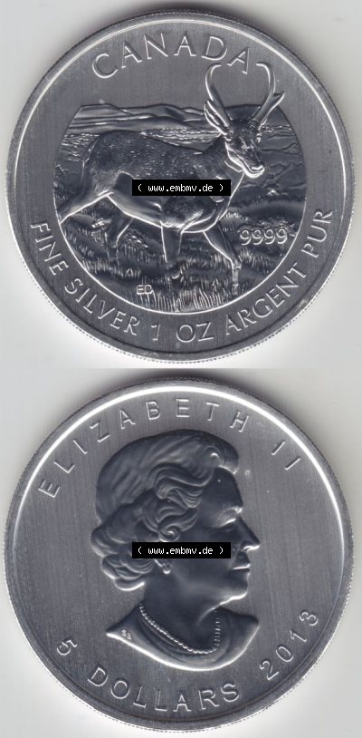 Sammlung