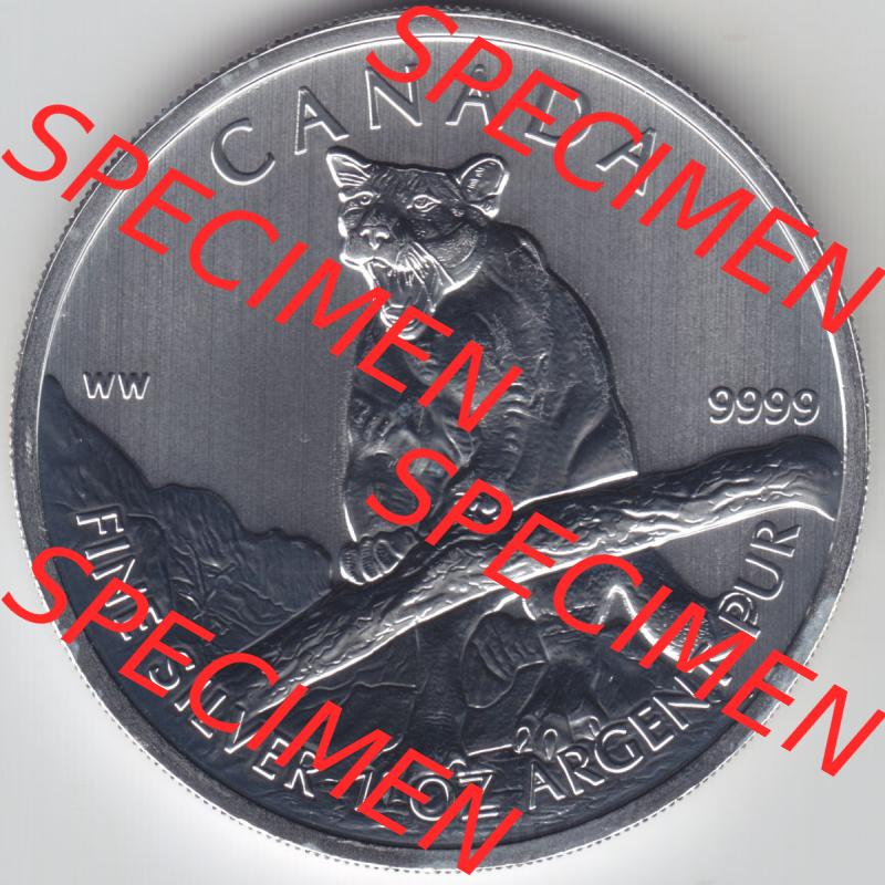 Kanada / Canada Silbermünze 2012-2012, 5 Dollars Puma Wildlife. Hier befindet sich die Vorderseite einer Silbermünze der Wildlife-Serie aus Kanada als Digitales Bild im online... Sammlung