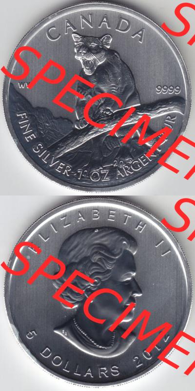 Kanada / Canada Silbermünze 2012-2012, 5 Dollars Puma Wildlife. Hier befindet sich die Vorderseite und Rückseite einer Silbermünze der kanadischen Wildlife-Serie aus Kanada... Sammlung