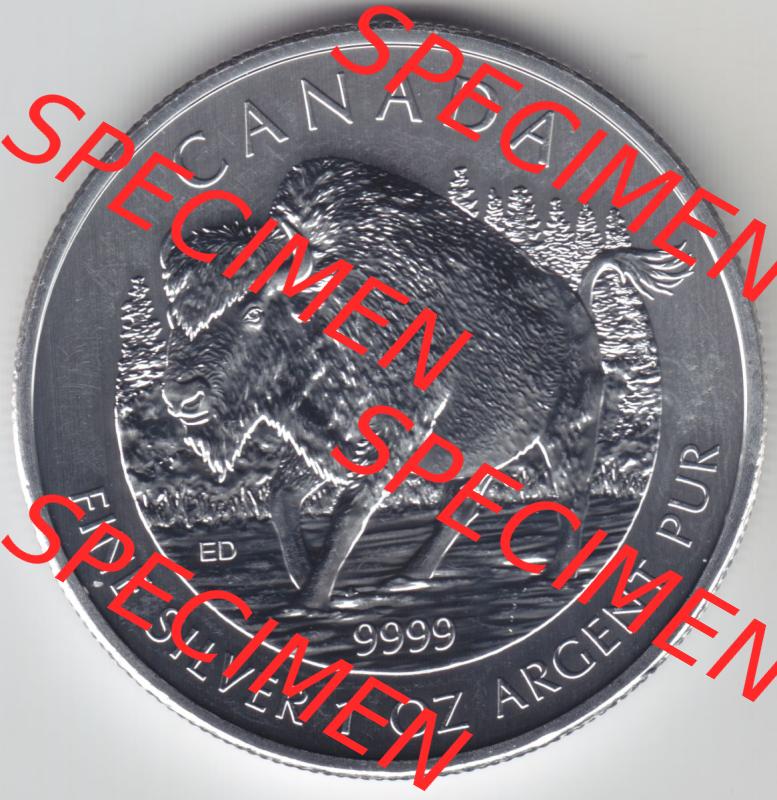Kanada / Canada Silbermünze 2013-2013, 5 Dollars Bison Wildlife. Hier befindet sich die Vorderseite einer Silbermünze der Wildlife-Serie aus Kanada als Digitales Bild im online... Sammlung