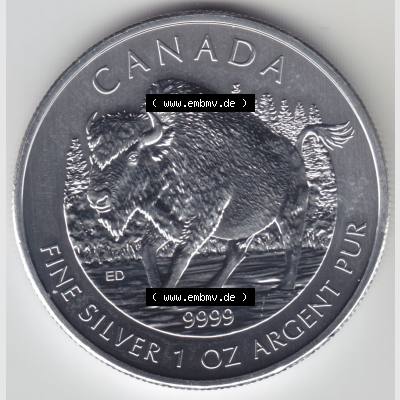Kanada / Canada Silbermünze 2013-2013, 5 Dollars Bison Wildlife. Hier befindet sich die Vorderseite einer Silbermünze der Wildlife-Serie aus Kanada als Digitales Bild im online... Sammlung