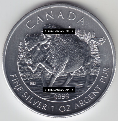 Kanada / Canada Silbermünze 2013-2013, 5 Dollars Bison Wildlife. Hier befindet sich die Vorderseite einer Silbermünze der Wildlife-Serie... Sammlung
