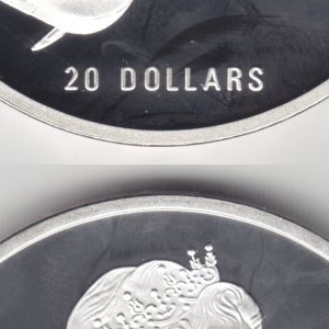 Ausschnitt zur Qualitätsprüfung vom Digitalen Bild Qualität