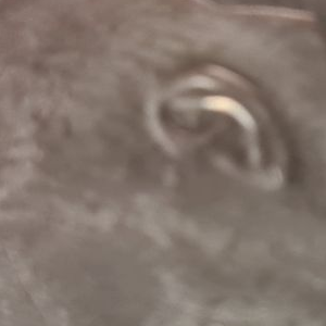 Ausschnitt zur Qualitätsprüfung vom Digitalen Bild Qualität