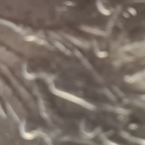 Ausschnitt zur Qualitätsprüfung vom Digitalen Bild Qualität