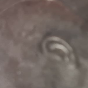 Ausschnitt zur Qualitätsprüfung vom Digitalen Bild Qualität