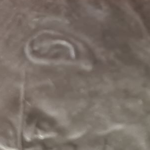 Ausschnitt zur Qualitätsprüfung vom Digitalen Bild Qualität