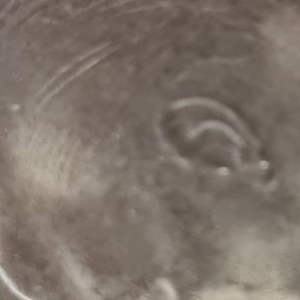 Ausschnitt zur Qualitätsprüfung vom Digitalen Bild Qualität