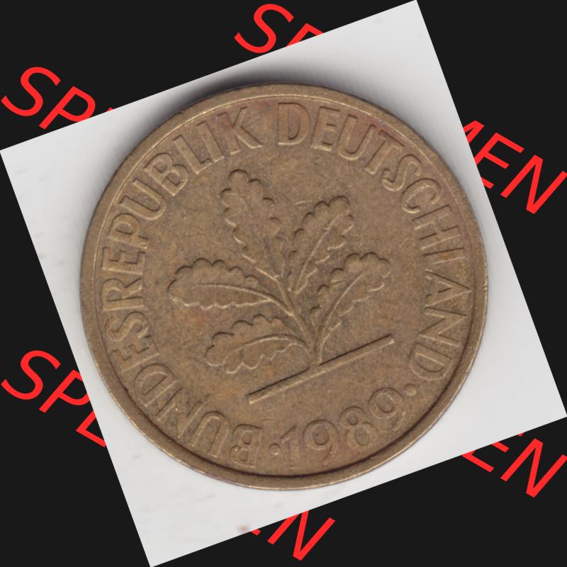 Münze der BRD Deutschland Umlaufmünze 1950-2001, 10 Pfennig 1989 F II. (2) Sammlung