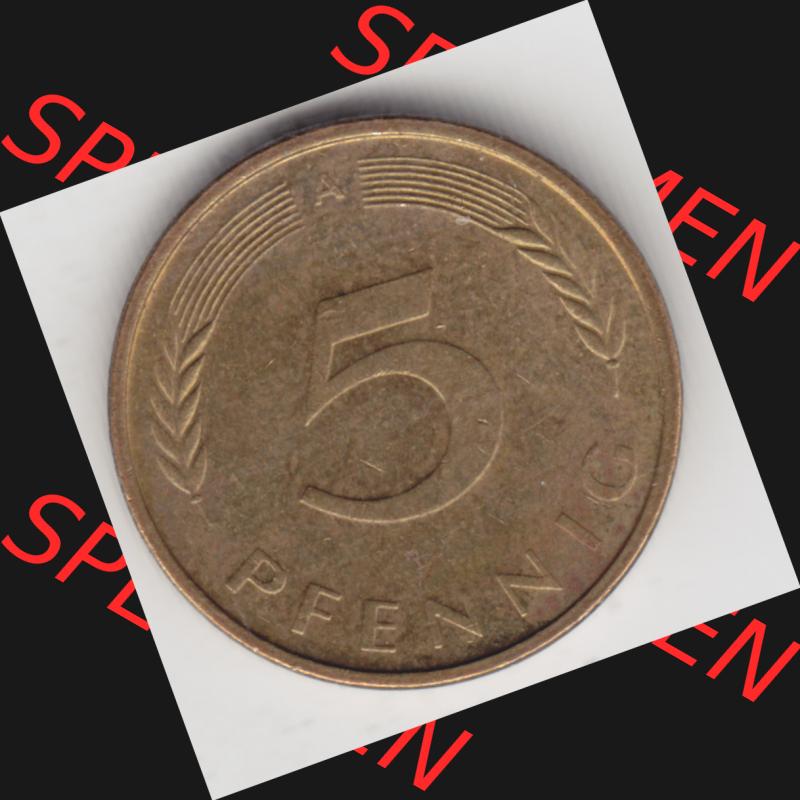 Münze der BRD Deutschland Umlaufmünze 1950-2001, 5 Pfennig 1995 A Sammlung