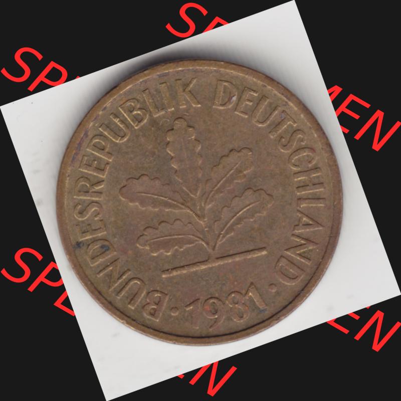 Münze der BRD Deutschland Umlaufmünze 1950-2001, 5 Pfennig 1981 D (2) Sammlung